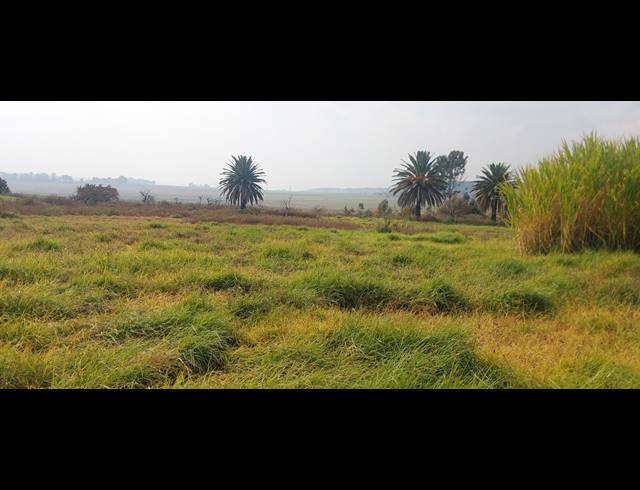 506.20HA FARM FOR SALE IN BLESBOKLAAGTE